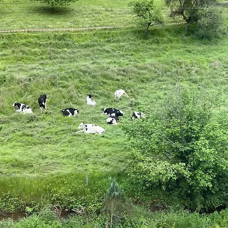 Traumhaftes Uebernachten Im Gruenen * Freiamt